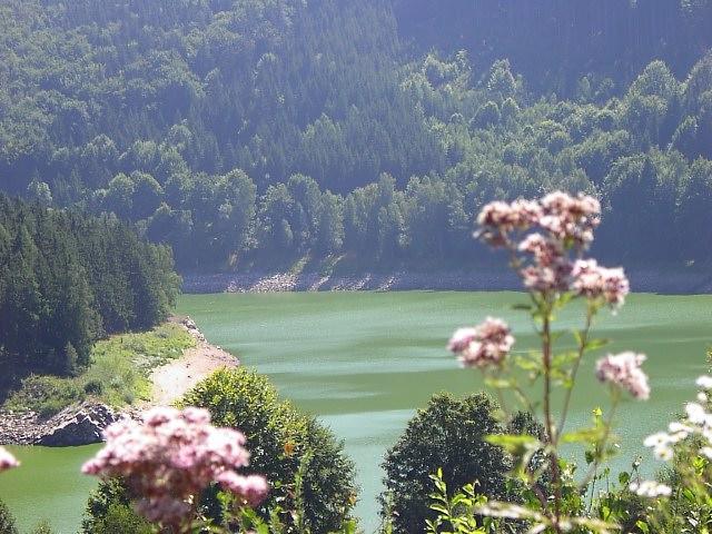 Rodinne Ubytovani Na Habesi Crhov Экстерьер фото